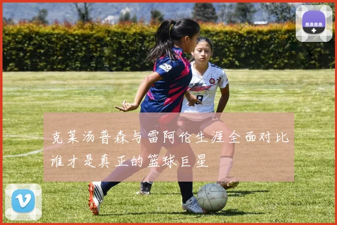 克莱汤普森与雷阿伦生涯全面对比谁才是真正的篮球巨星